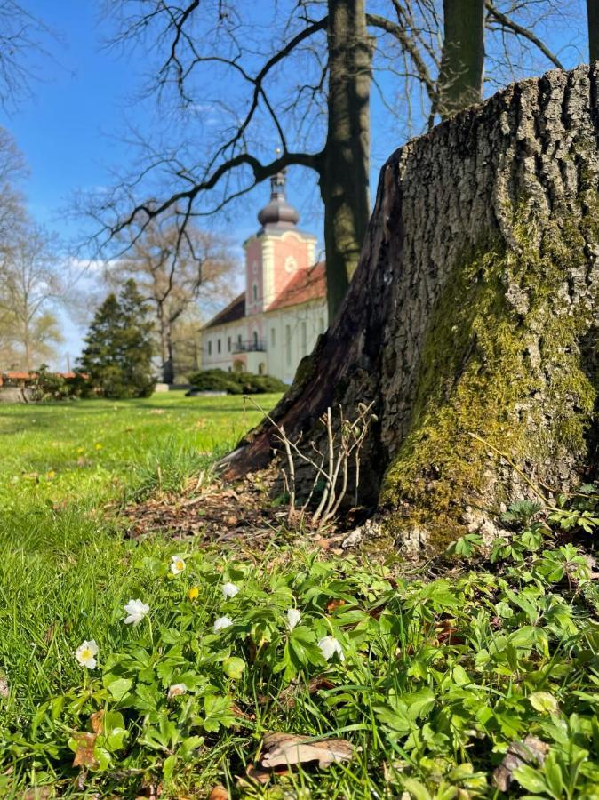 Penzion Zámek Lešany Netvořice Exterior foto